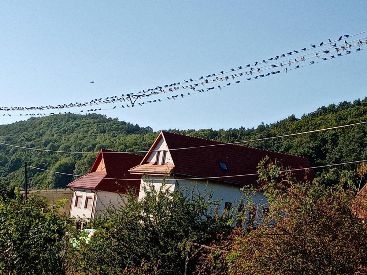 Kalaris Vendeghaz